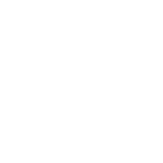 Bass